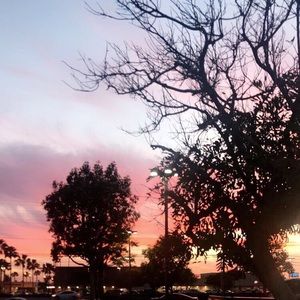 Meet your Posher, Trinity